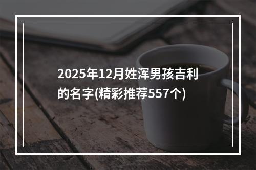 2025年12月姓浑男孩吉利的名字(精彩推荐557个)