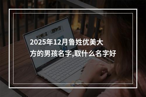 2025年12月鲁姓优美大方的男孩名字,取什么名字好
