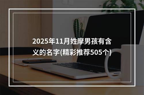 2025年11月姓摩男孩有含义的名字(精彩推荐505个)