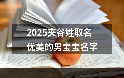 2025夹谷姓取名优美的男宝宝名字