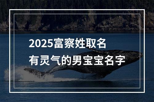 2025富察姓取名有灵气的男宝宝名字