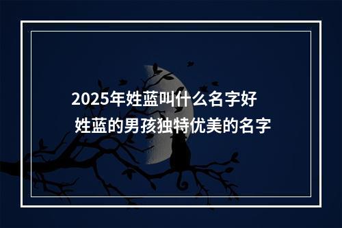 2025年姓蓝叫什么名字好 姓蓝的男孩独特优美的名字