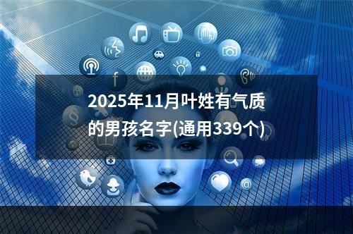 2025年11月叶姓有气质的男孩名字(通用339个)