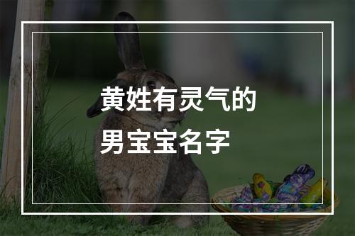 黄姓有灵气的男宝宝名字