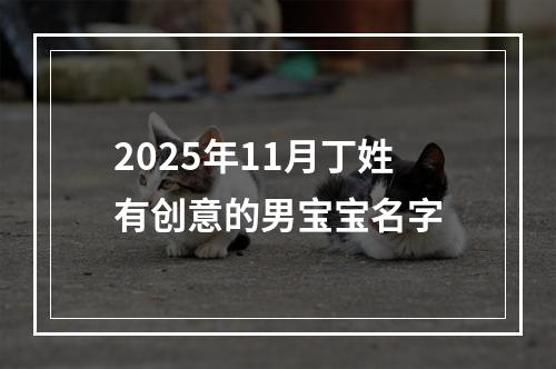 2025年11月丁姓有创意的男宝宝名字