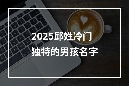 2025邱姓冷门独特的男孩名字