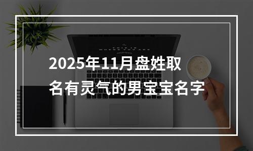 2025年11月盘姓取名有灵气的男宝宝名字