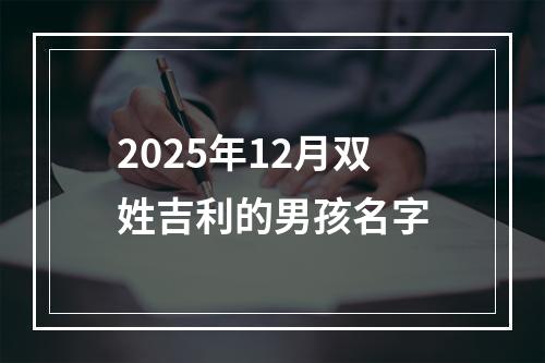 2025年12月双姓吉利的男孩名字