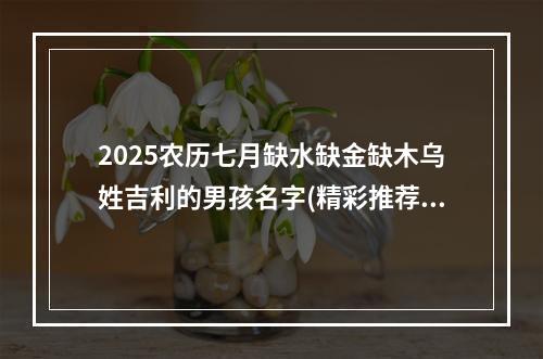 2025农历七月缺水缺金缺木乌姓吉利的男孩名字(精彩推荐)