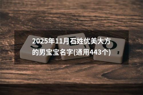 2025年11月石姓优美大方的男宝宝名字(通用443个)