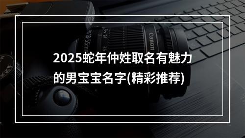 2025蛇年仲姓取名有魅力的男宝宝名字(精彩推荐)