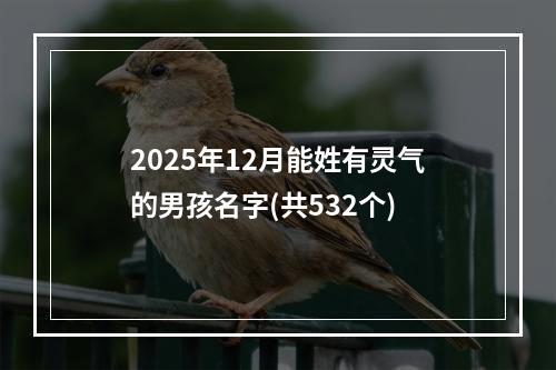 2025年12月能姓有灵气的男孩名字(共532个)
