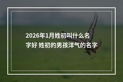 2026年1月姓初叫什么名字好 姓初的男孩洋气的名字