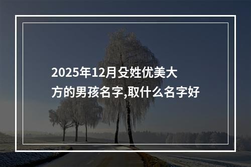 2025年12月殳姓优美大方的男孩名字,取什么名字好