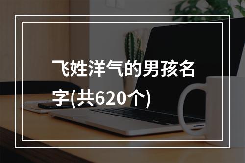 飞姓洋气的男孩名字(共620个)