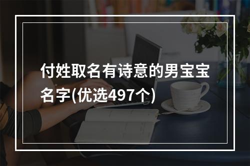 付姓取名有诗意的男宝宝名字(优选497个)