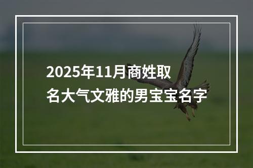 2025年11月商姓取名大气文雅的男宝宝名字