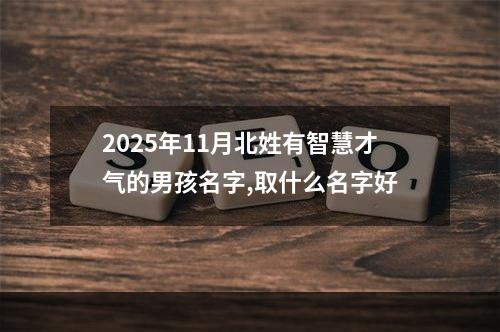 2025年11月北姓有智慧才气的男孩名字,取什么名字好
