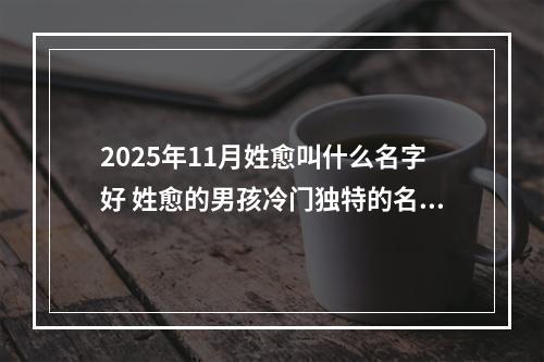 2025年11月姓愈叫什么名字好 姓愈的男孩冷门独特的名字