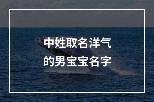 中姓取名洋气的男宝宝名字