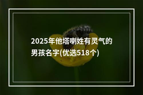 2025年他塔喇姓有灵气的男孩名字(优选518个)
