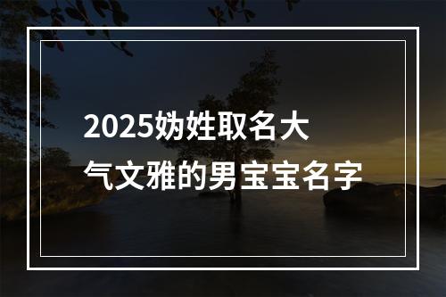 2025妫姓取名大气文雅的男宝宝名字