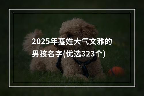 2025年蹇姓大气文雅的男孩名字(优选323个)