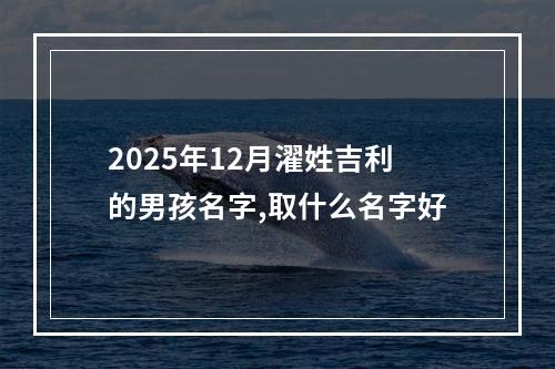 2025年12月濯姓吉利的男孩名字,取什么名字好