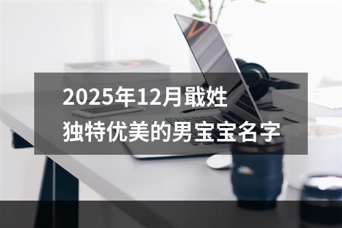 2025年12月戢姓独特优美的男宝宝名字