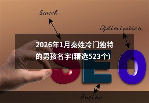 2026年1月秦姓冷门独特的男孩名字(精选523个)