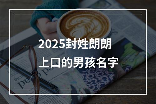 2025封姓朗朗上口的男孩名字