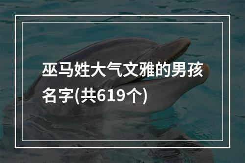 巫马姓大气文雅的男孩名字(共619个)