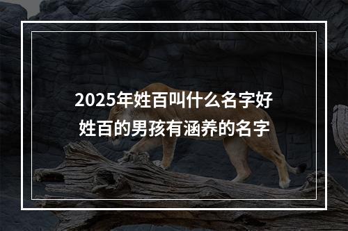 2025年姓百叫什么名字好 姓百的男孩有涵养的名字
