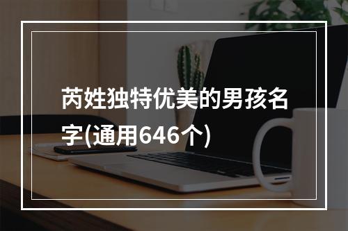 芮姓独特优美的男孩名字(通用646个)