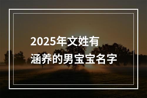 2025年文姓有涵养的男宝宝名字
