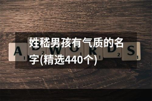 姓嵇男孩有气质的名字(精选440个)