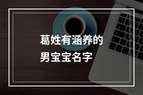 葛姓有涵养的男宝宝名字