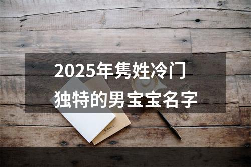 2025年隽姓冷门独特的男宝宝名字