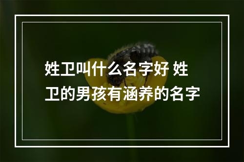 姓卫叫什么名字好 姓卫的男孩有涵养的名字