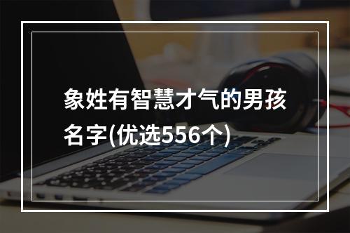 象姓有智慧才气的男孩名字(优选556个)