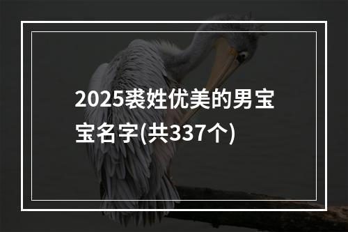 2025裘姓优美的男宝宝名字(共337个)