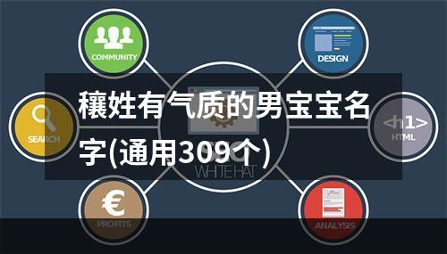 穰姓有气质的男宝宝名字(通用309个)