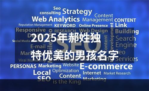 2025年郝姓独特优美的男孩名字