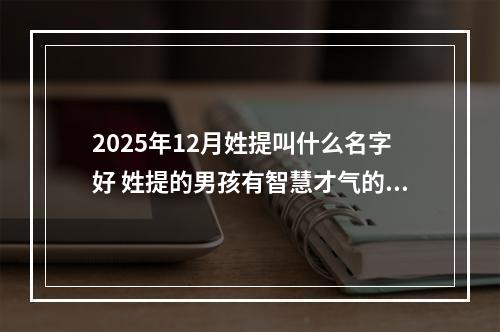 2025年12月姓提叫什么名字好 姓提的男孩有智慧才气的名字