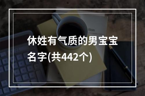 休姓有气质的男宝宝名字(共442个)