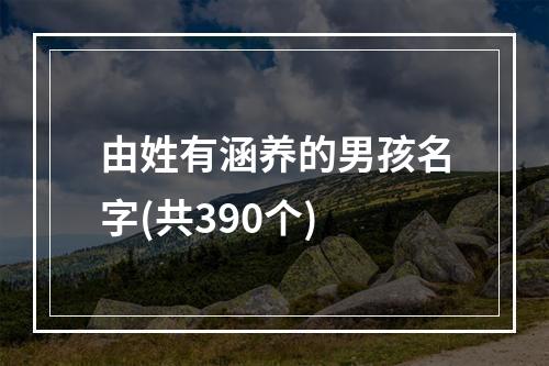 由姓有涵养的男孩名字(共390个)