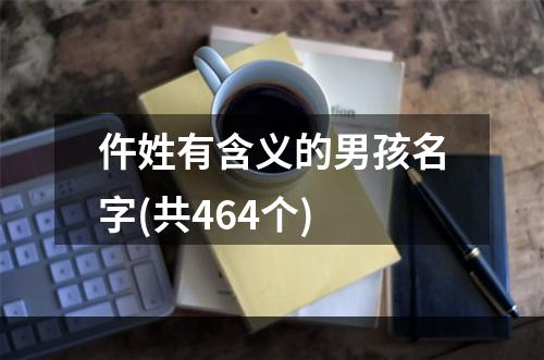 仵姓有含义的男孩名字(共464个)
