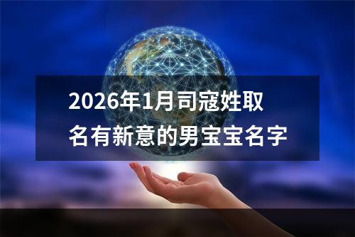 2026年1月司寇姓取名有新意的男宝宝名字