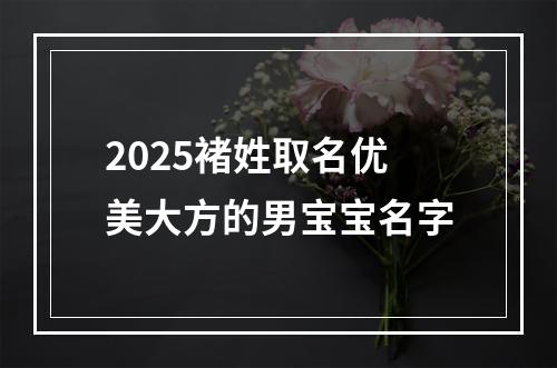 2025褚姓取名优美大方的男宝宝名字