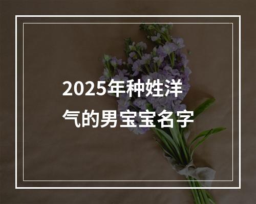 2025年种姓洋气的男宝宝名字